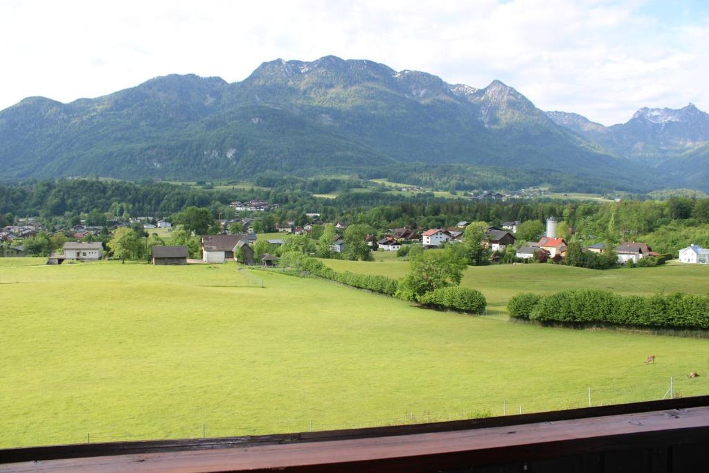 Apartment - Am Buchenhof - 4