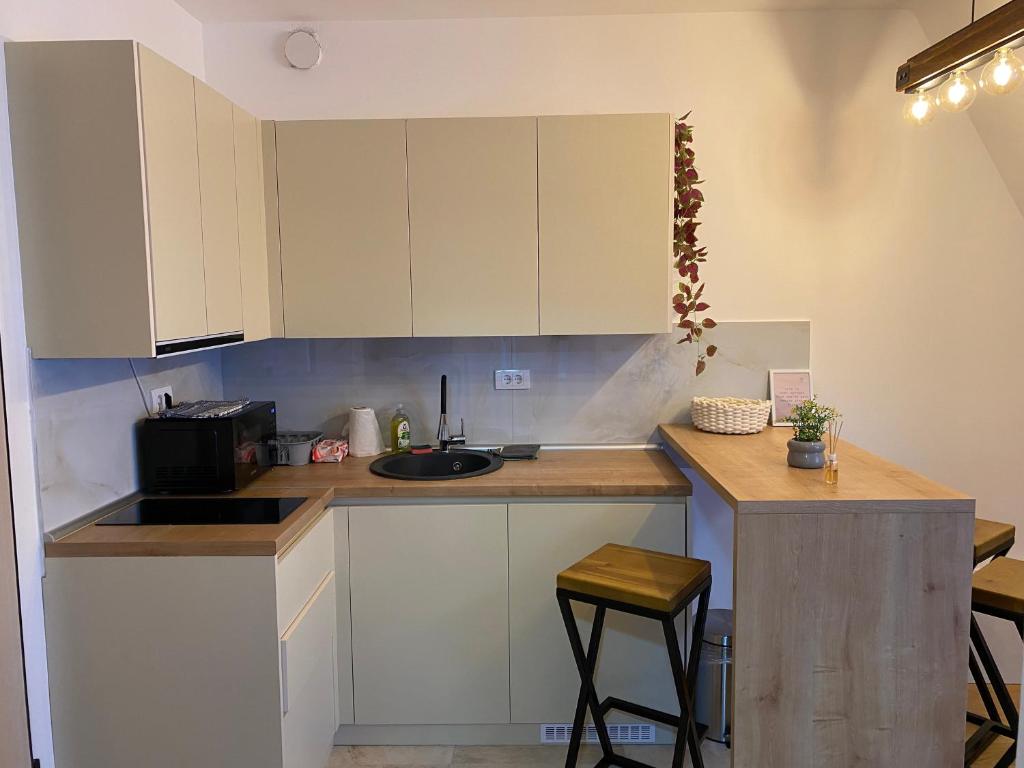 Apartman Šumarak - 5