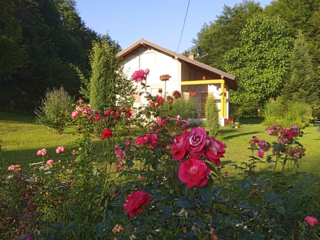 Palučak 30, Babice Gornje