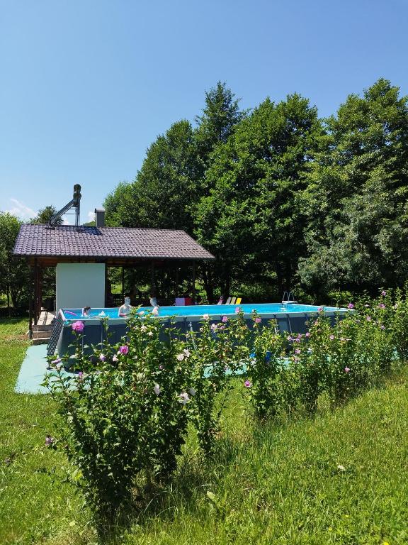 Kuća u šumi - Forest house near National park Una - Air Spa Lohovo - 2
