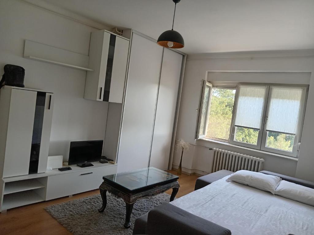 Tamara New Belgrade - 3