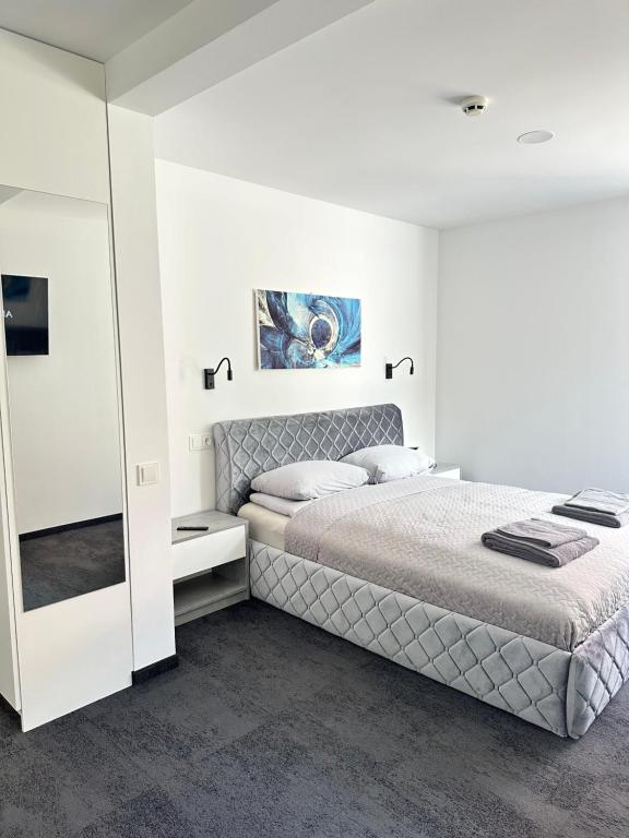 SILVIA apartment 101, Druskininkai