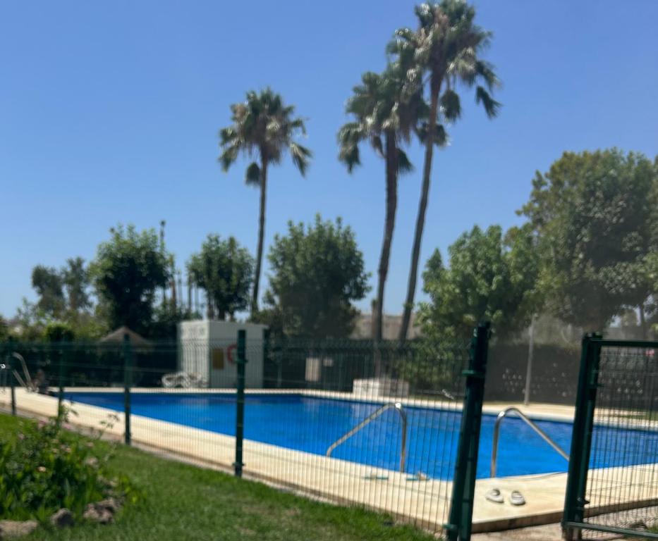 Los Alamos 305, Torremolinos