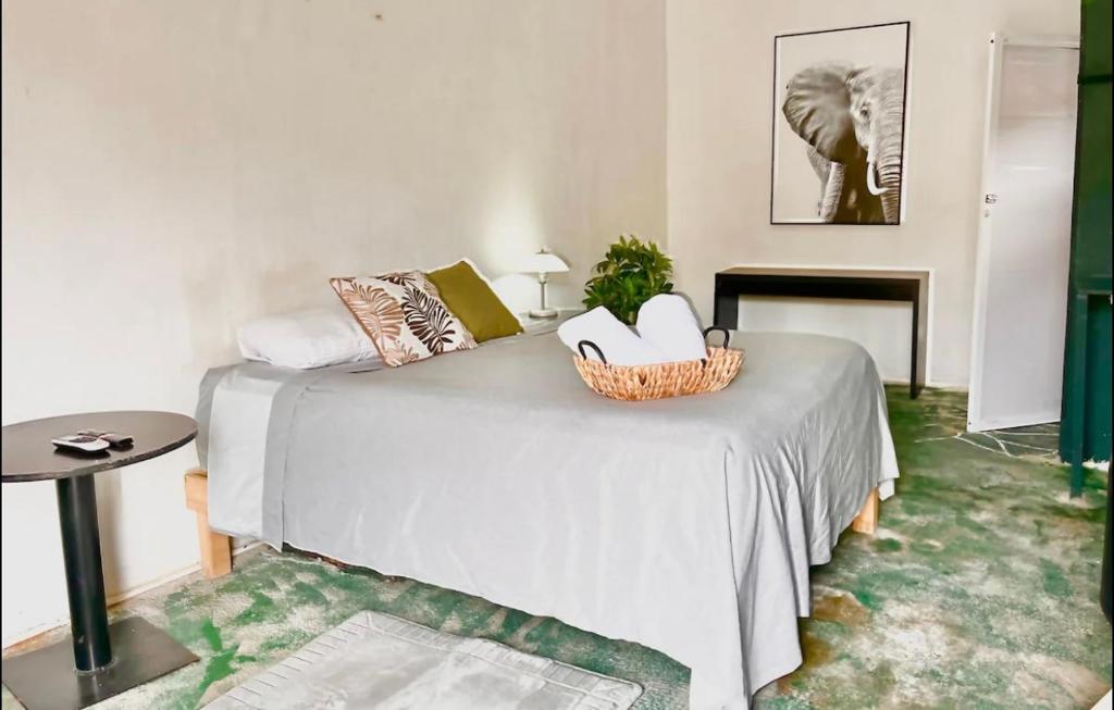 Propiedad de cuartos temáticos, Cabo San Lucas