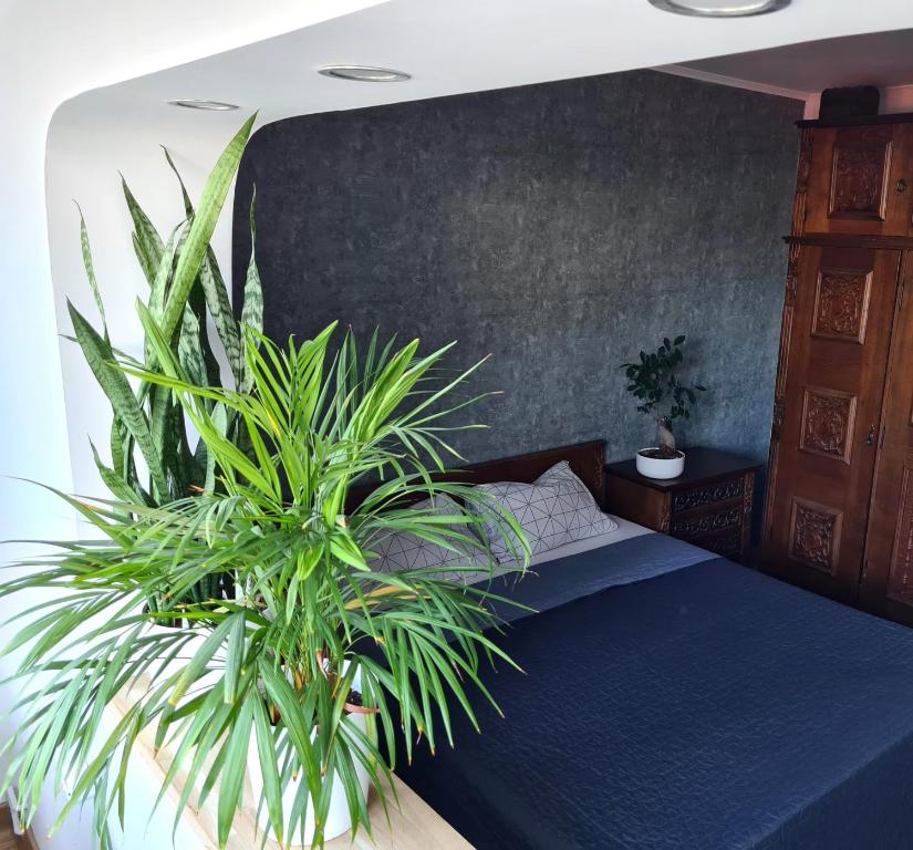 Apartment in Dristor area, Bukurešť