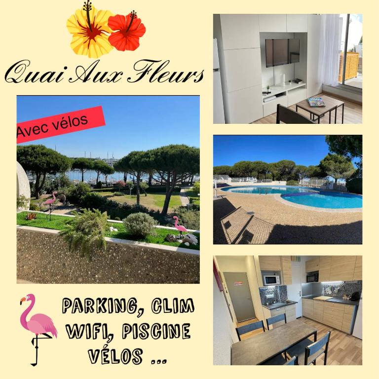 Studio vue port, belle terrasse, piscine, Le Grau-du-Roi