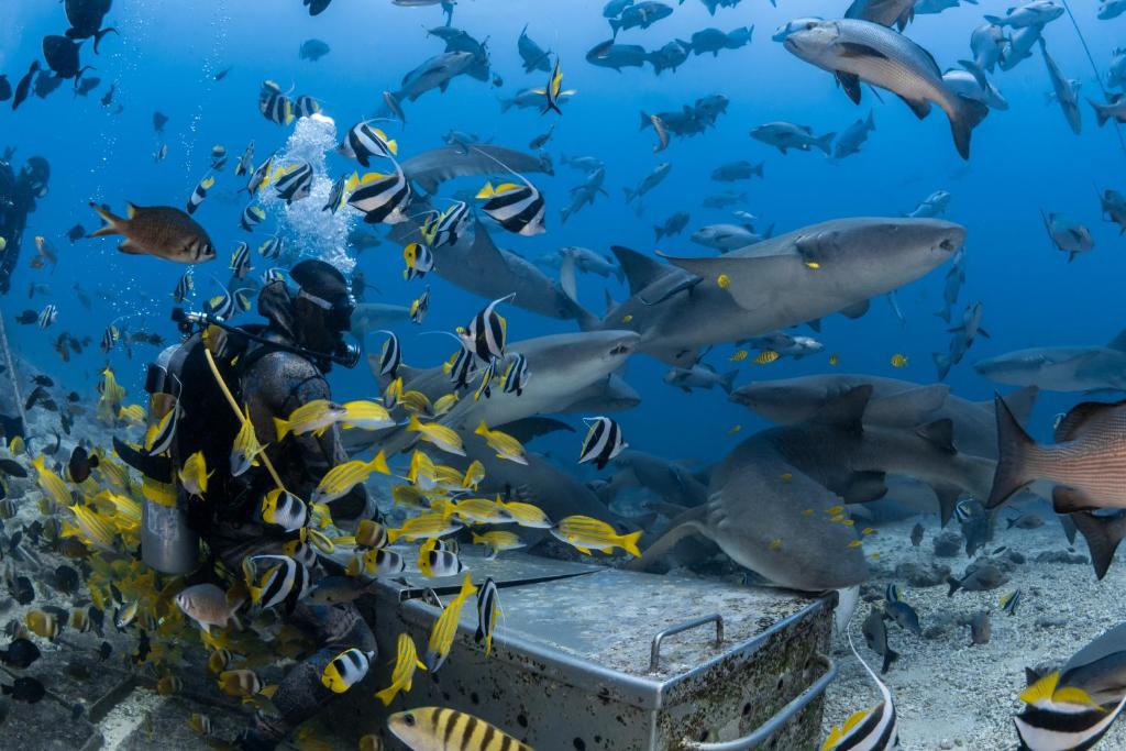 Sport és szabadidő