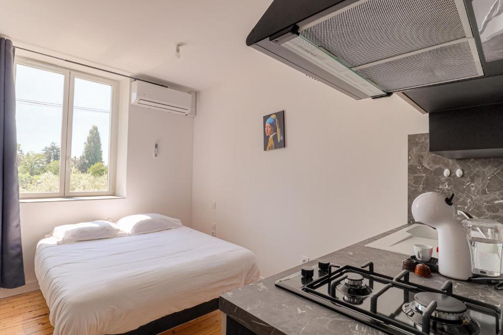 Le Berlin - Les appartements de l'olivier - 4