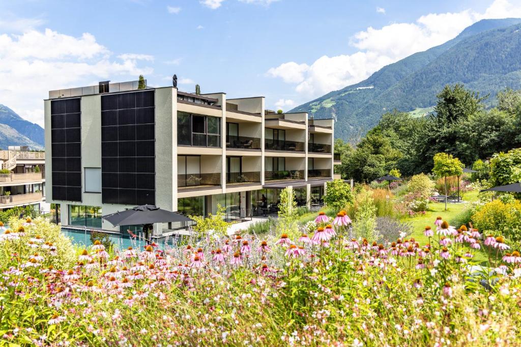 Boutique Hotel AMARIL - 4