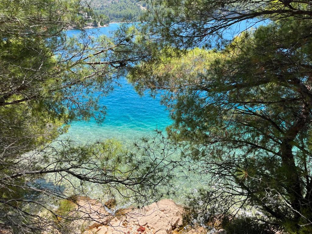 Bayview Haven, Milna