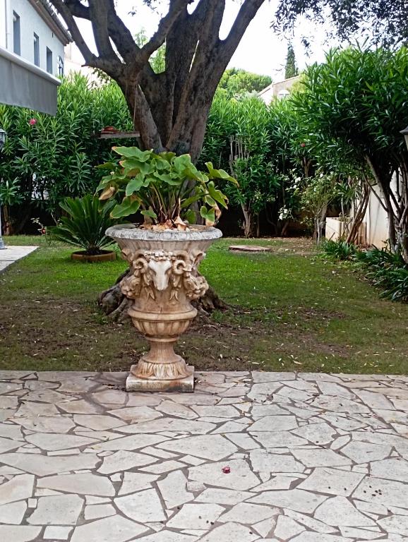 Rdc Villa Jardin et terrasse - 1