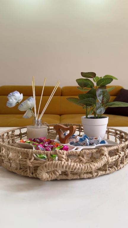Apartman Bea - 3