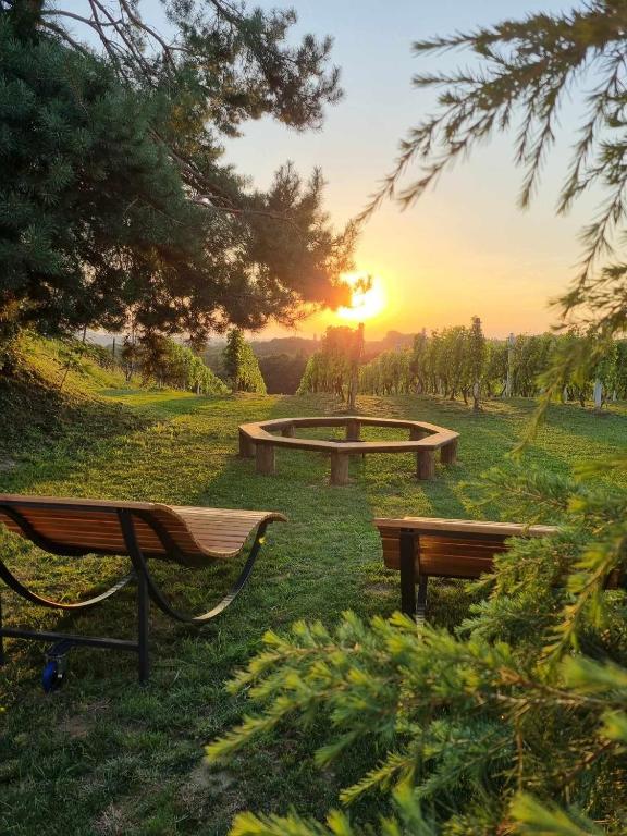 POČITNIŠKA HIŠA SONČNI VRH, Spodnji Ivanjci