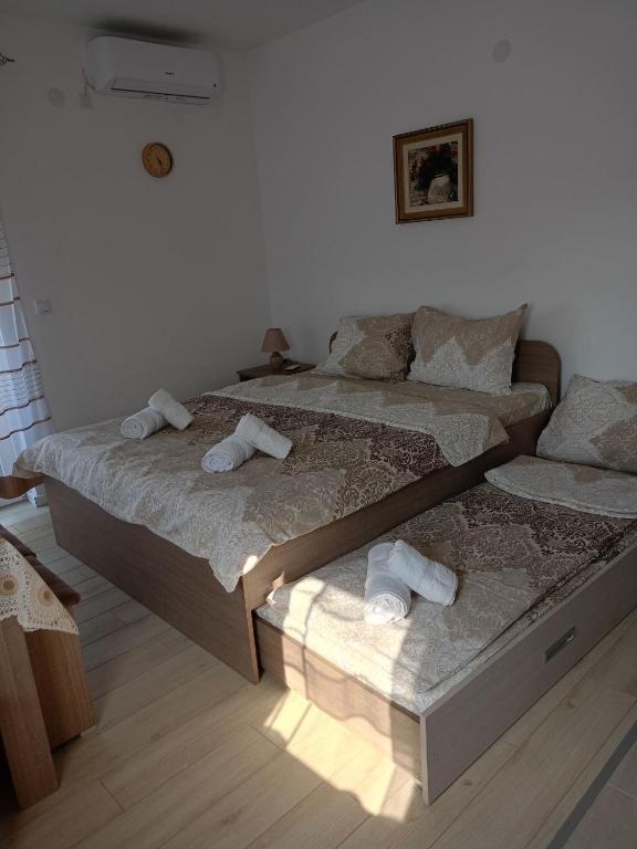 Studio Dimitrije 14 - 5