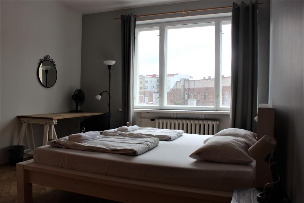 Viru Backpackers Hostel