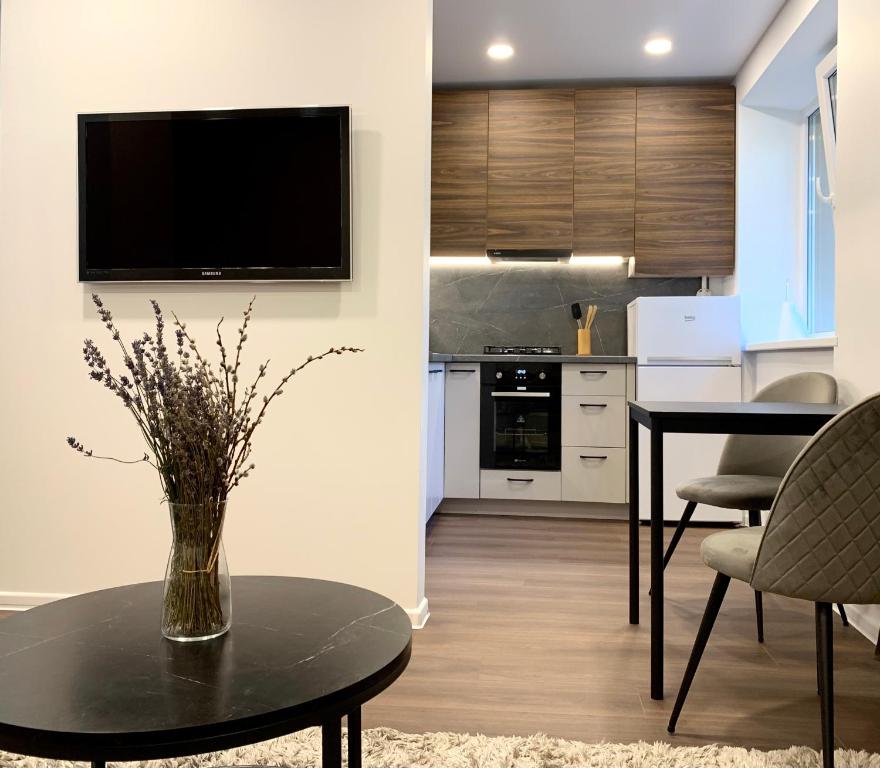 Cozy Studio Apartment in the City Center, Šiauliai