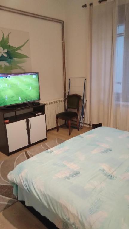 Apartment next to the temple of Saint Sava - 2