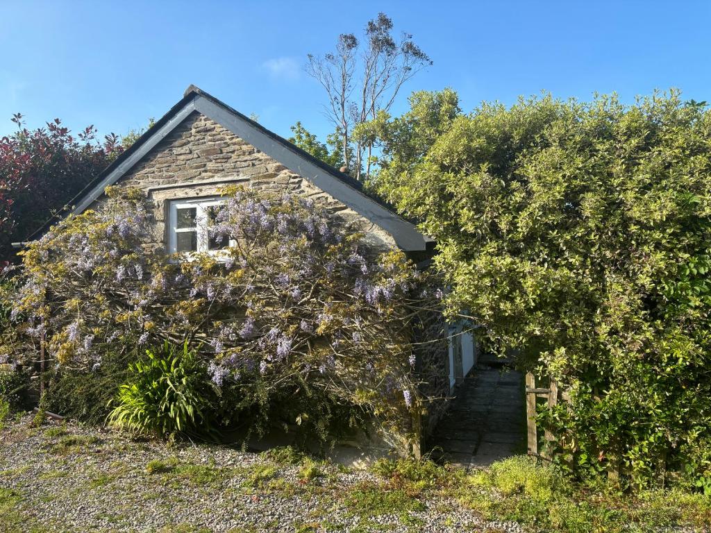 Wisteria Cottage, Truro