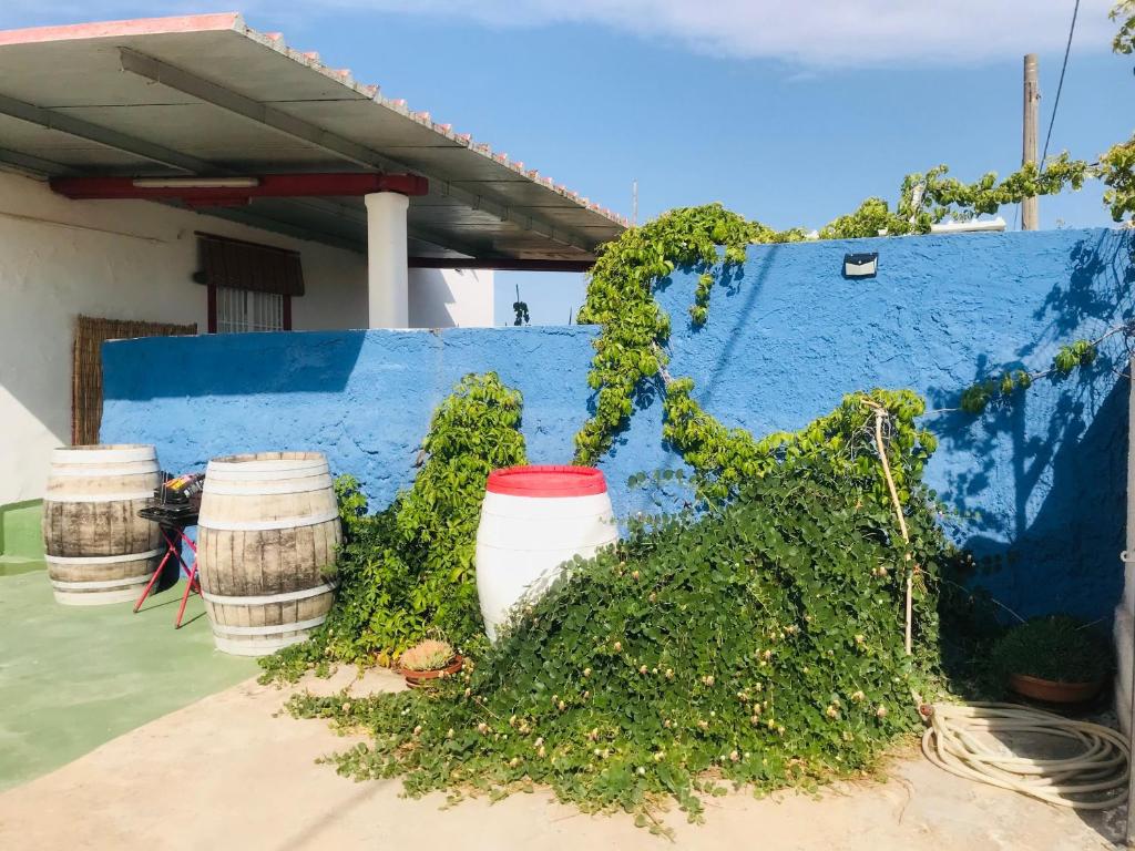 CASA VACANZA PALMENTO BELLA - 5