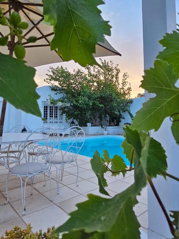 Dar LaVigne, Hammamet