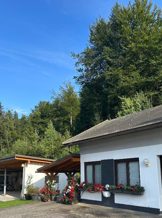 Ferienwohnung Waldblick, Faaker See - 2