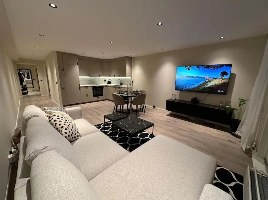 Central luxurious apartment，位于奥斯陆的酒店