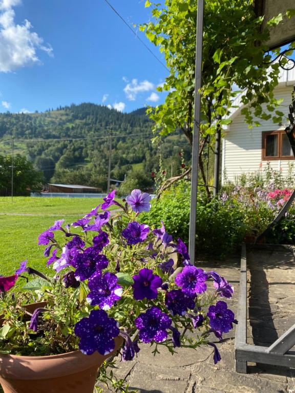 Комфортне Studio в Криворівні, Krivorovnya