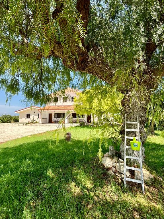 Villa Andrea San Lorenzo - 1
