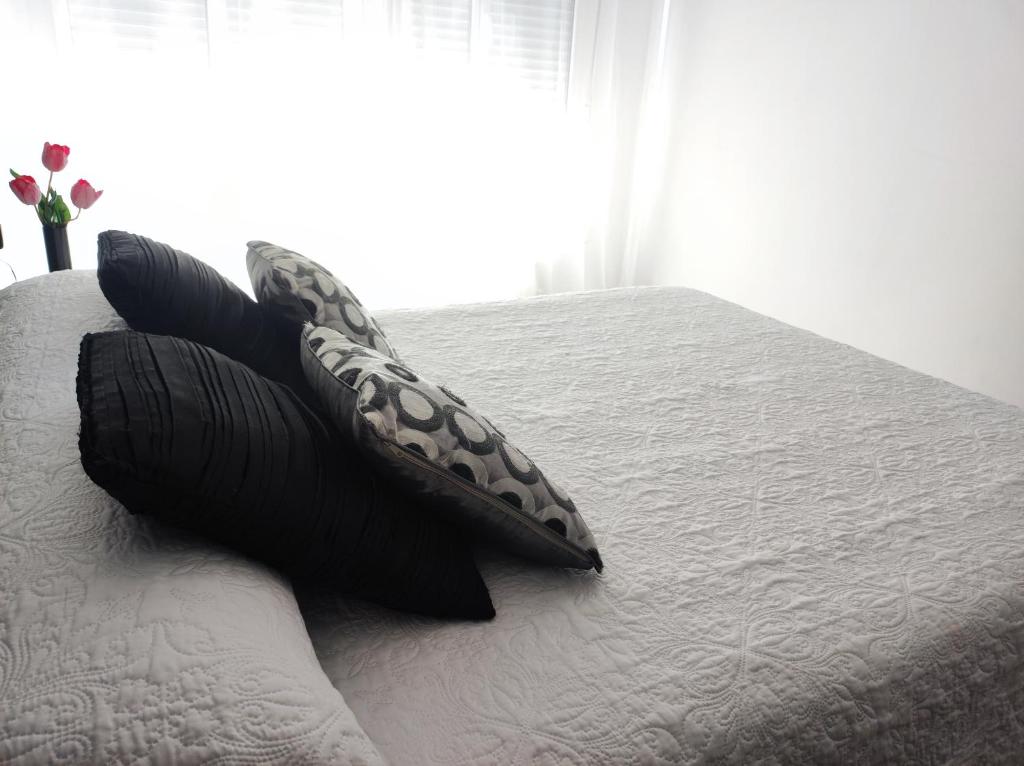 APARTAMENTO BOLBORETA - 4