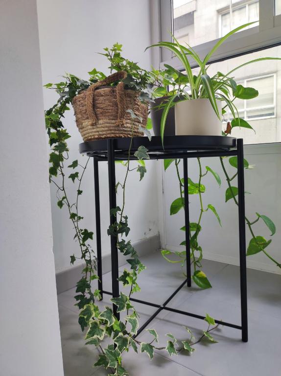 APARTAMENTO BOLBORETA - 2