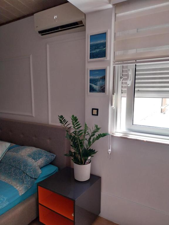 Apartment Tara, Herceg Novi