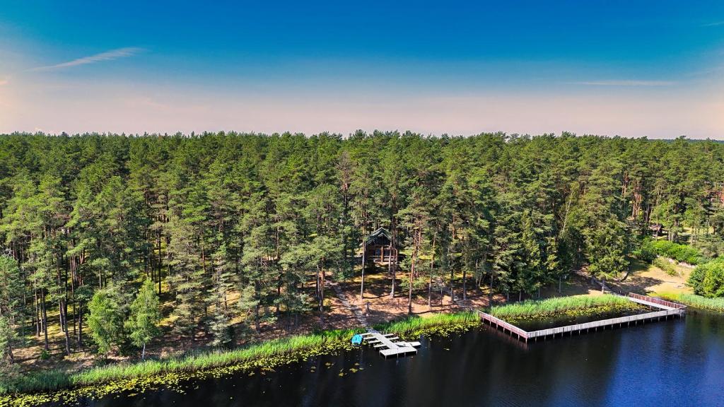 Namelis Pušyne, Pailgis