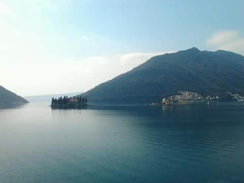 Surrounding environment