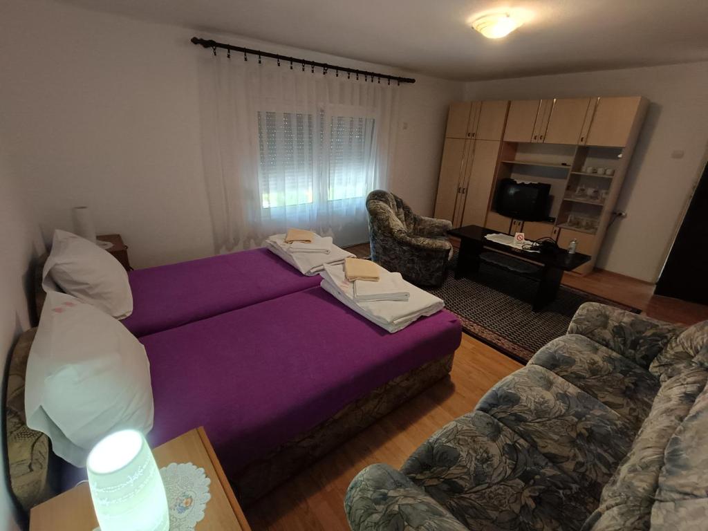 Studio Petrović, Soko Banja