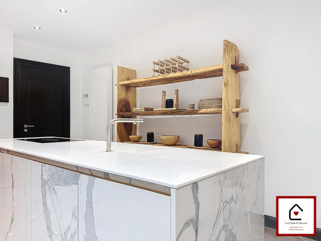Le Cœur D'Anvers - Architectural Townhouse 5