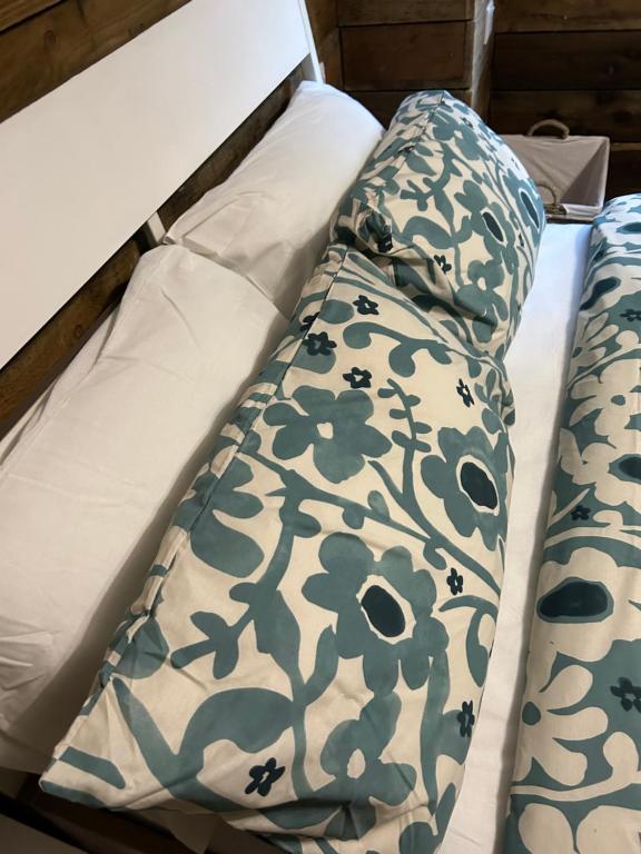 The Hedgehog, Pontypridd