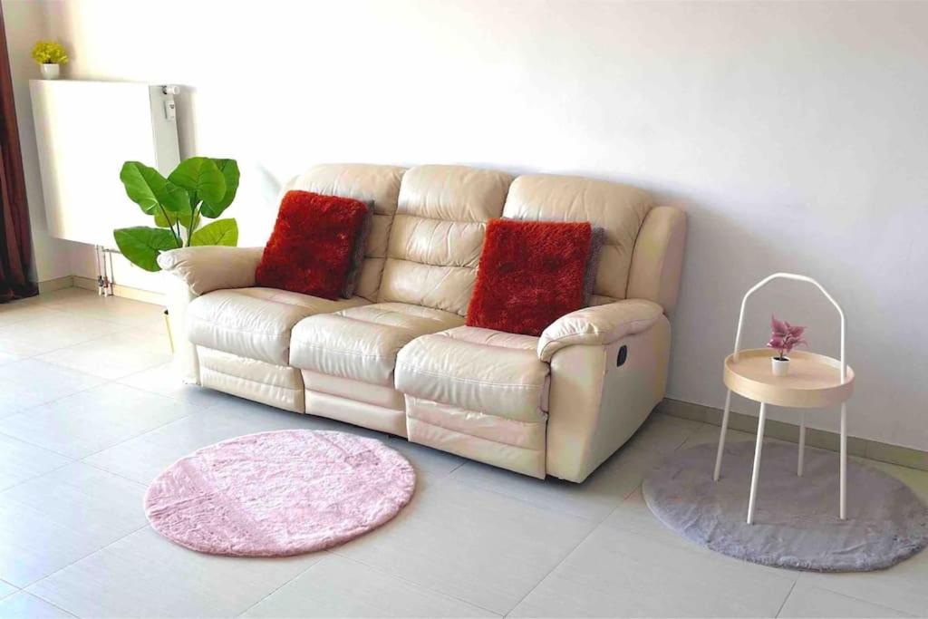 Close to central station antwerp, Antverpy