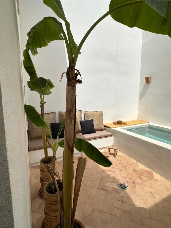 CASA MEUA, Les Cases d'Alcanar