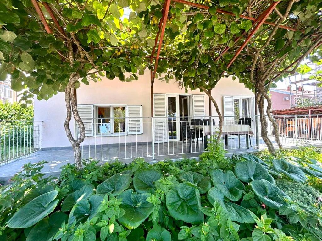 Studio Ugrin with Terrace, Rovinj