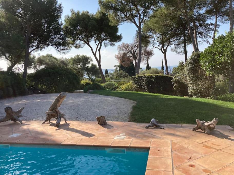 La Californienne - 5