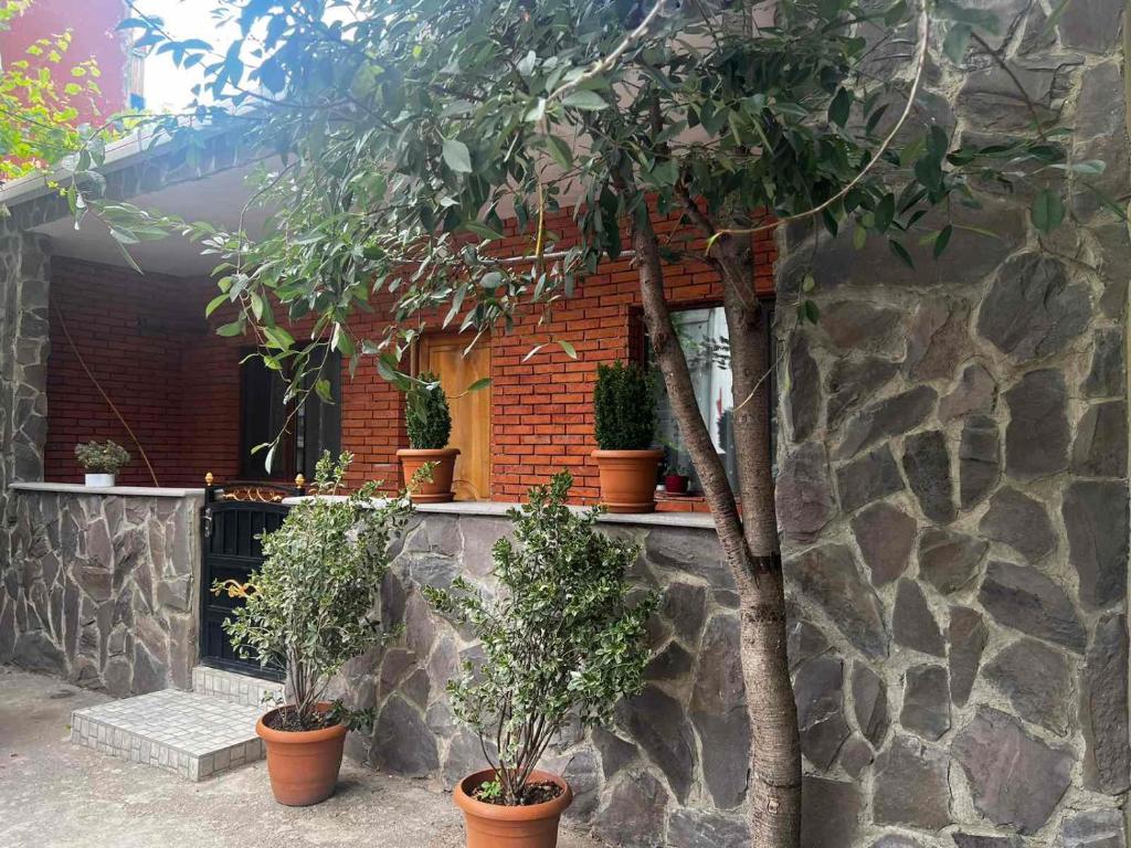 Guest House TOMASI, Bordžomi