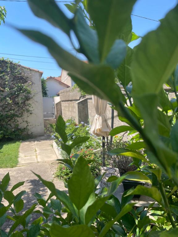 L’Annexe - 5