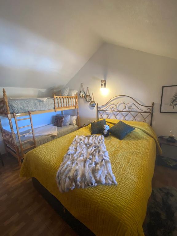 APARTMENT SAN BERNARDO Zona Alta with free garage parking and free WIFI - 1