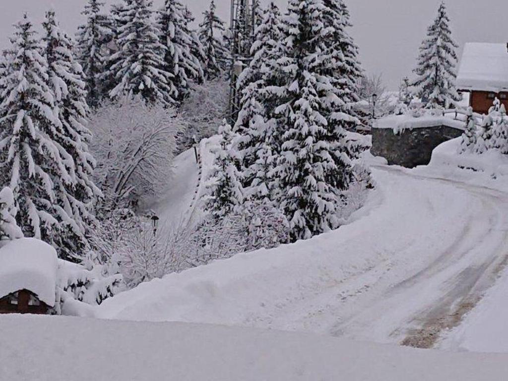 Charmant appart ski-in/ski-out, Courchevel, 6 pers, parking - 4