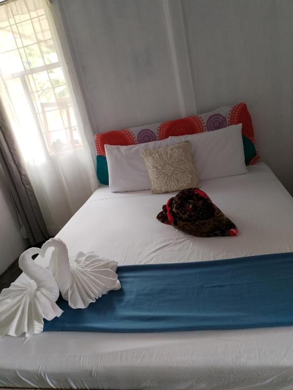 Casa Nimbu Rainforest, Upala