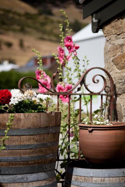 Olivers Central Otago photo