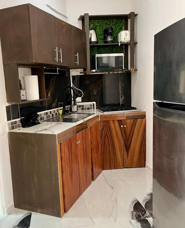 La Puerta Blanca Penthouse #8 - 4