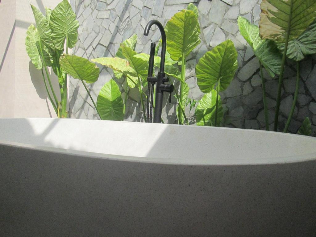 Ninh Binh Nature Homestay 호텔 이미지 1