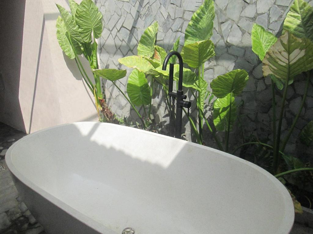 Ninh Binh Nature Homestay 호텔 이미지 2