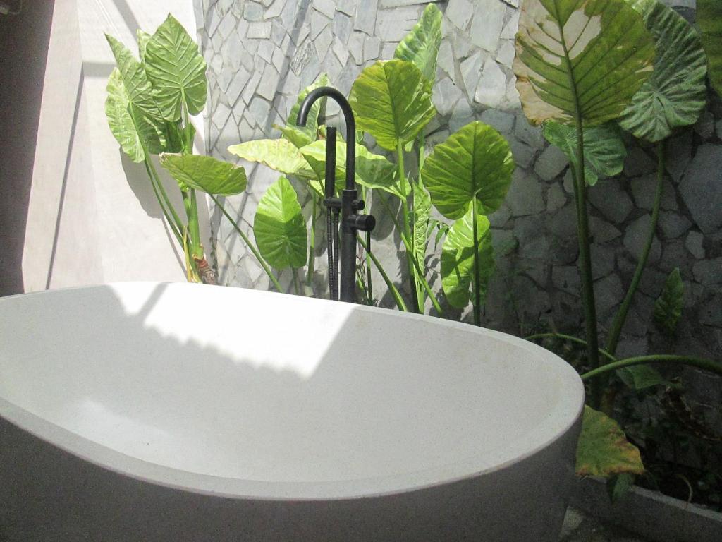 Ninh Binh Nature Homestay 호텔 이미지 2